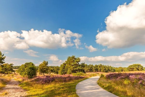 Veluwe Hotel de Beyaerd