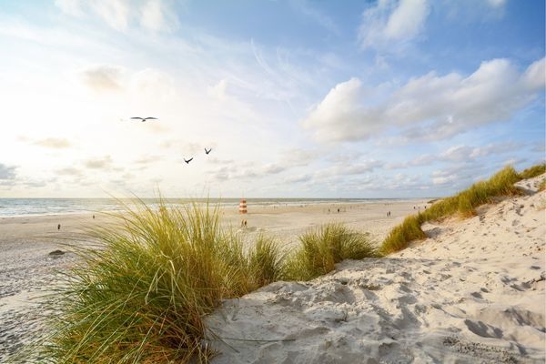 Strand