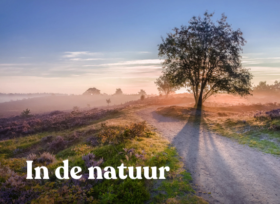In de natuur