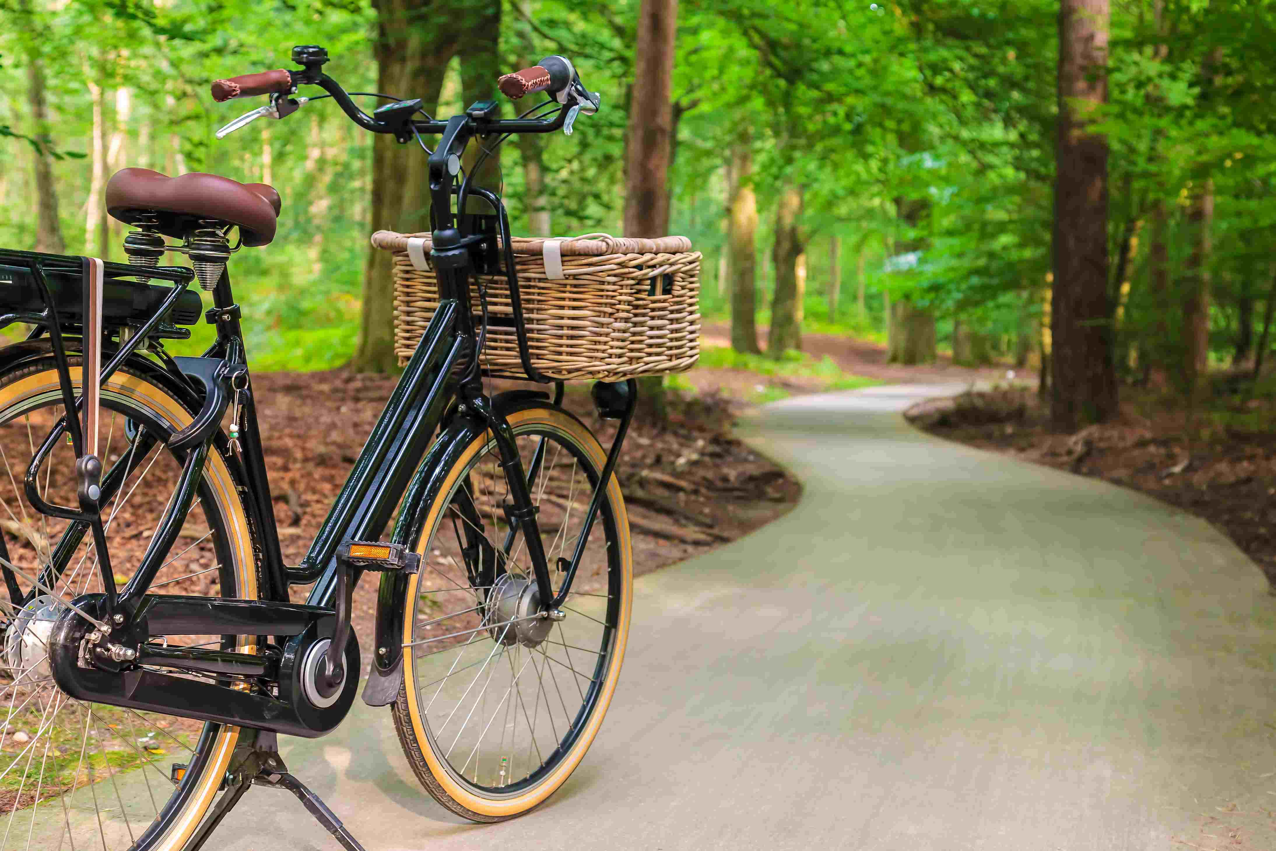 Fietsen