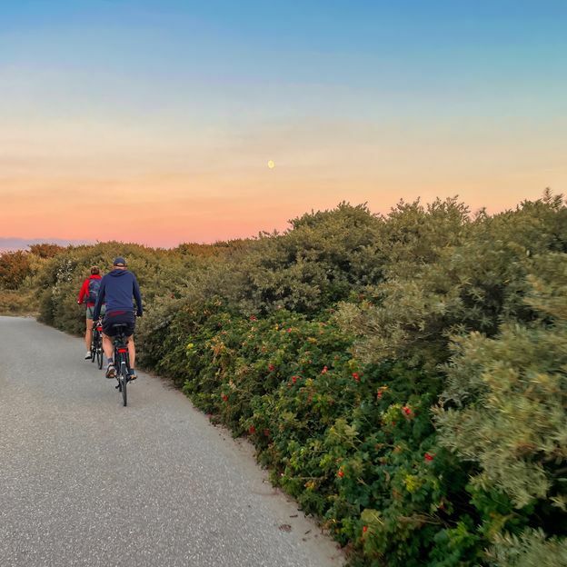 Ontdek Noord-Holland per fiets